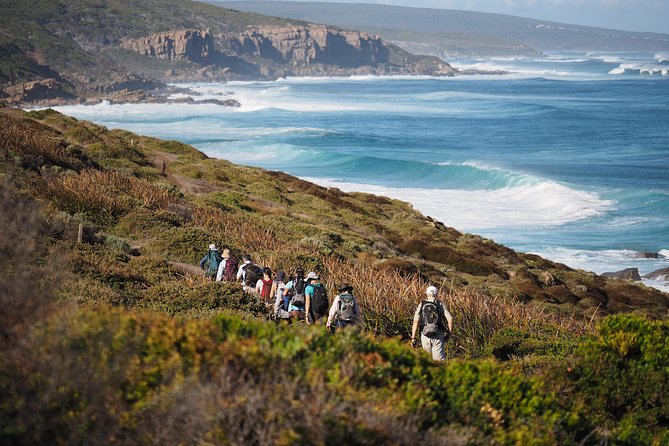 People walking the Cape to Cape Track